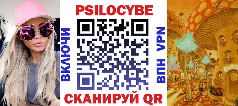 наркотики  Райчихинск  kraken   Псилоцибиновые грибы Psilocybine cubensis 